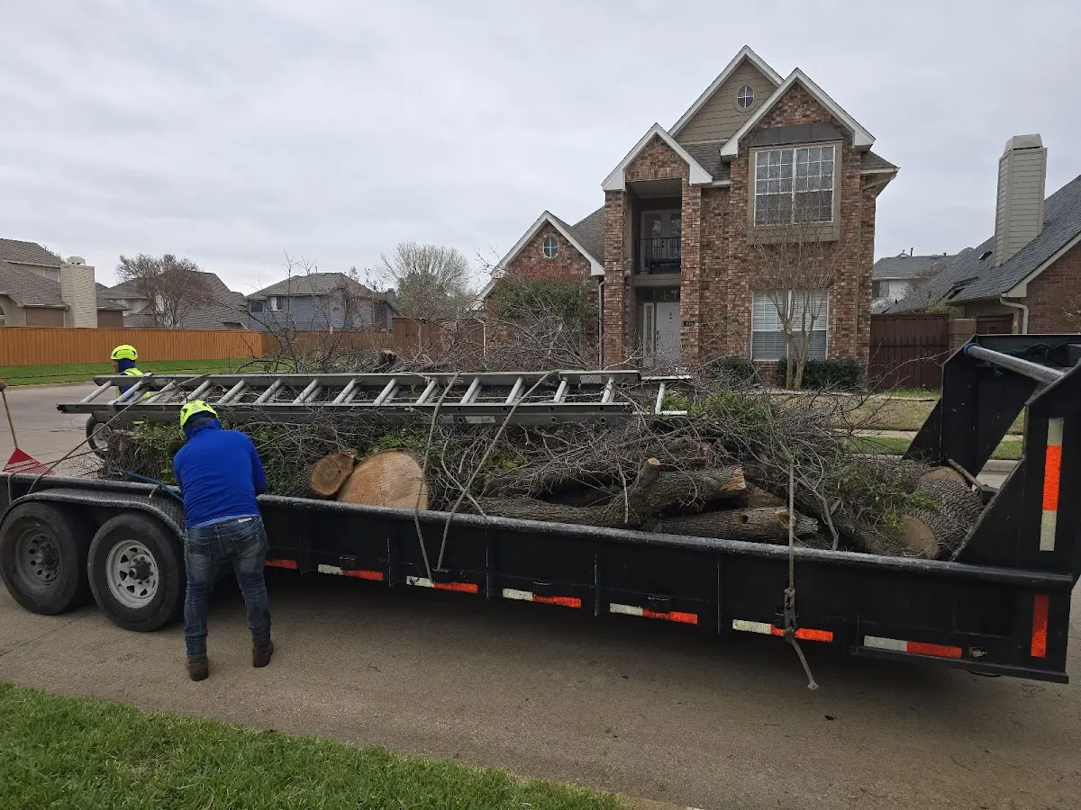 Expert Tree Fertilization with proper safety equipment in Cleverdale